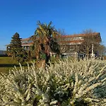 Wilde Moewe No 29 - Aurora Vista - Abc529 Hohen Wieschendorf