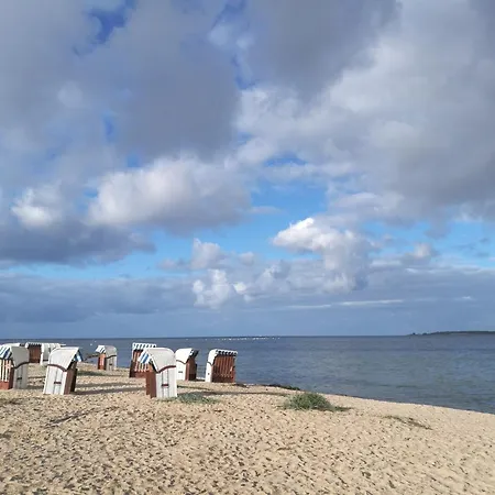 Wilde Moewe No 29 - Aurora Vista - Abc529 Apartman